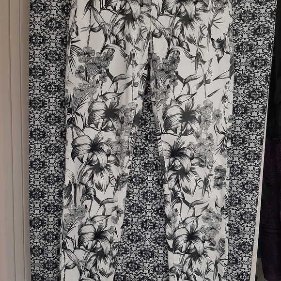 Dex Pants - Pants